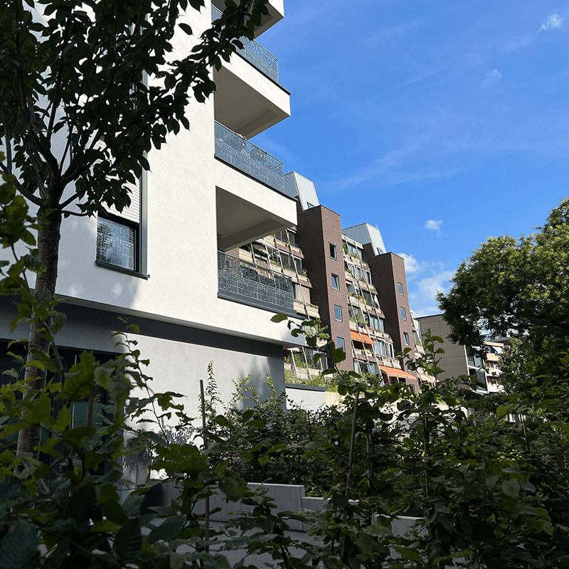 05_IMG_7376_800 05_IMG_7376_800