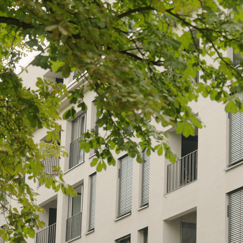 08_WB_GB2024_PoppelsdorferAllee_2_800 08_WB_GB2024_PoppelsdorferAllee_2_800