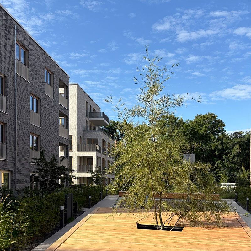 HeaderIMG_0896_800 HeaderIMG_0896_800