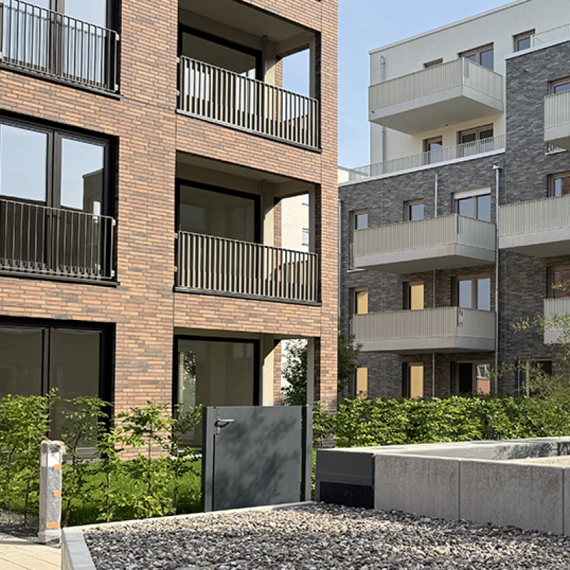 IMG_5554_SSch_800 IMG_5554_SSch_800