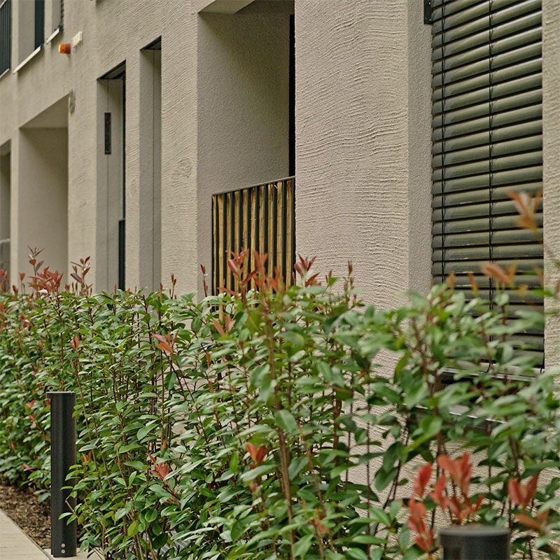 WB_GB2024_PoppelsdorferAllee_3_easyHDR-default_800 WB_GB2024_PoppelsdorferAllee_3_easyHDR-default_800