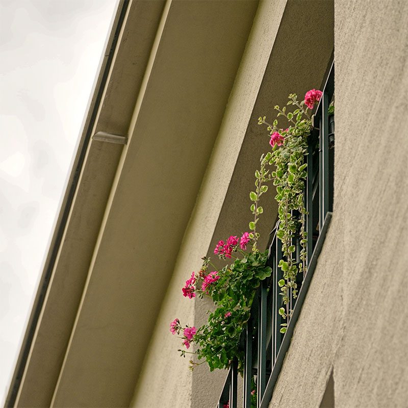 WB_GB2024_PoppelsdorferAllee_4_easyHDR-default_800 WB_GB2024_PoppelsdorferAllee_4_easyHDR-default_800